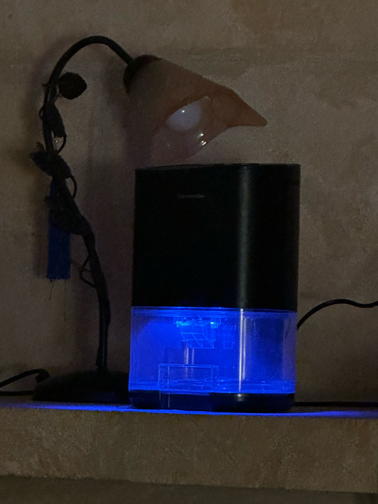 Product review photo