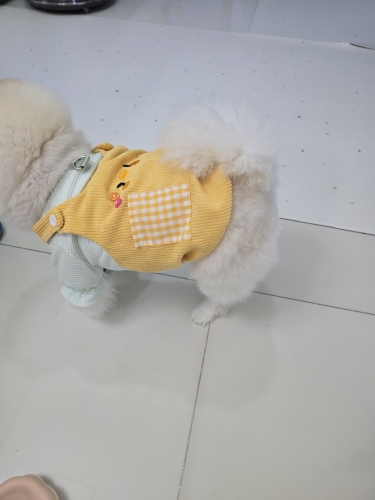 Product review photo