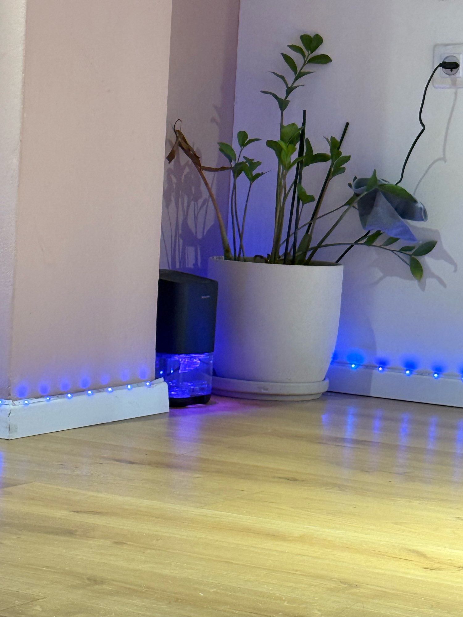 Product review photo
