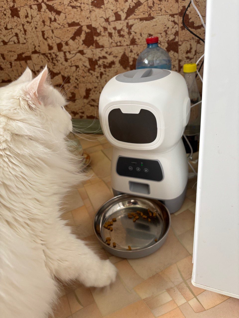 Product review photo
