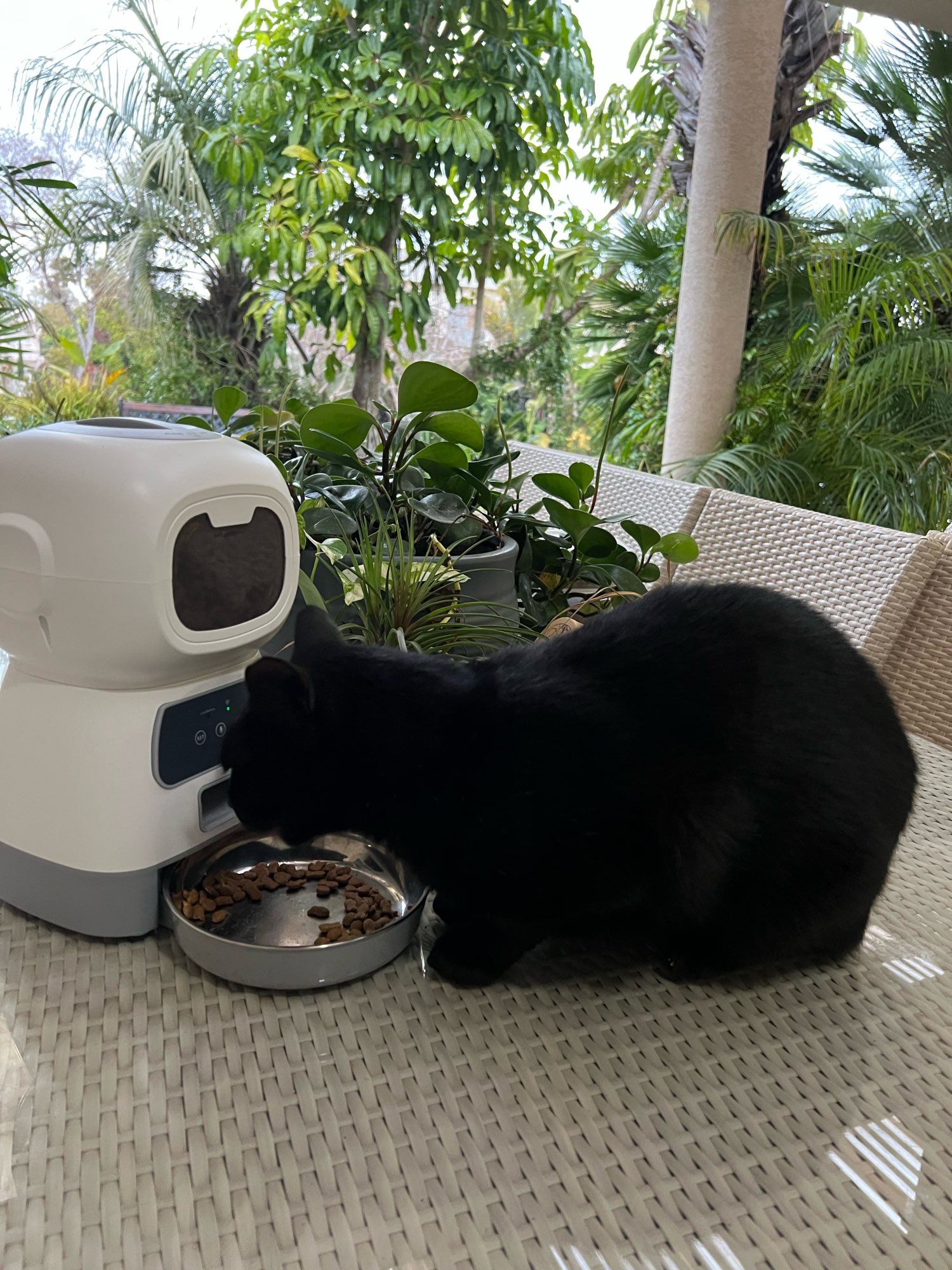 Product review photo