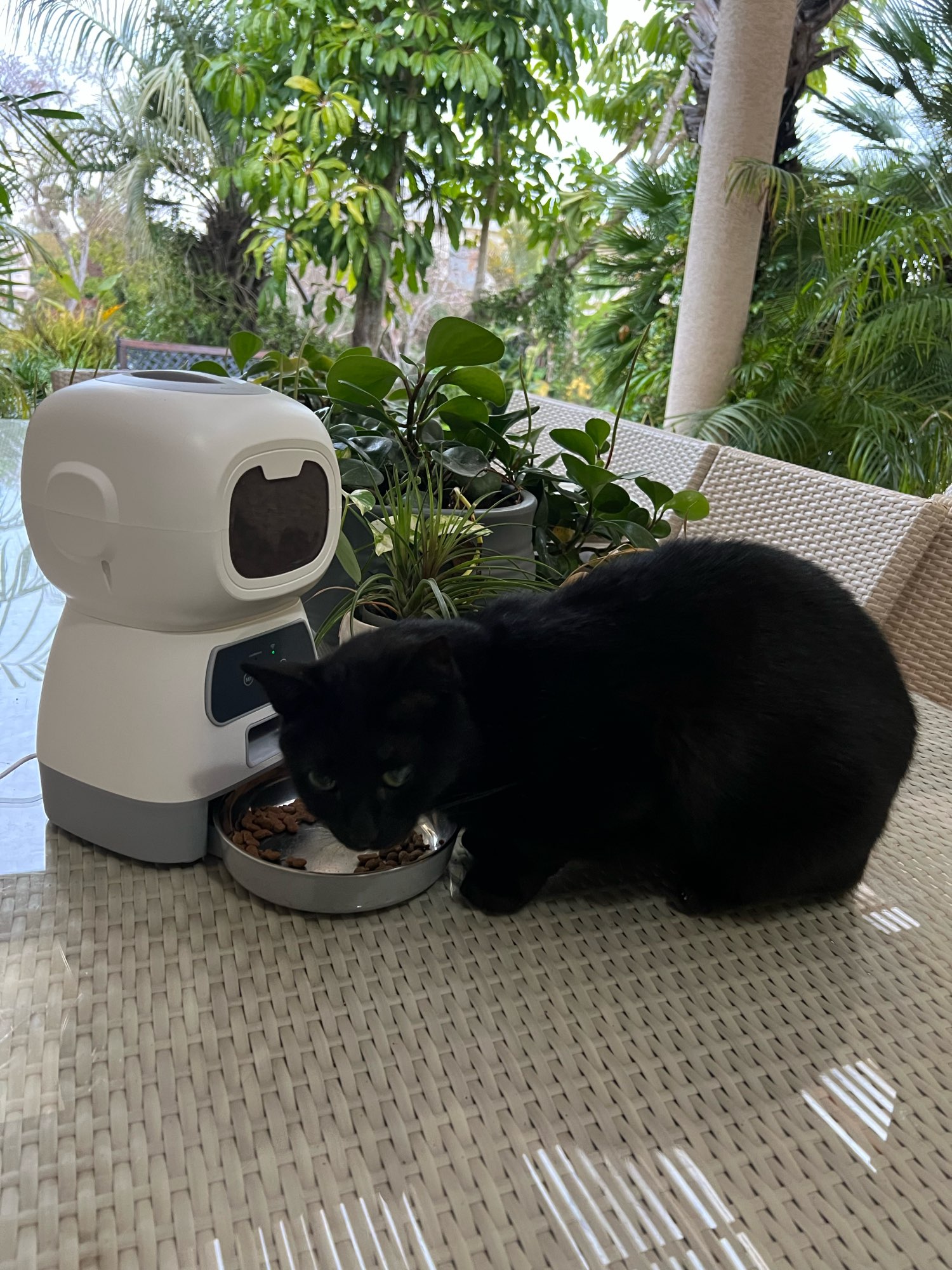 Product review photo