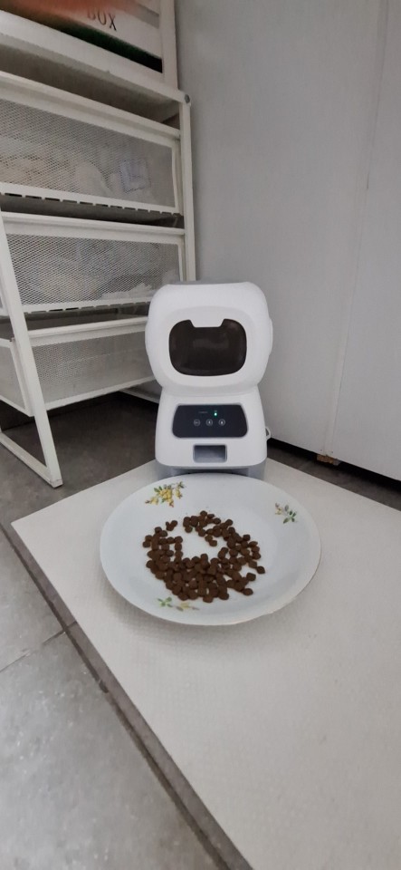 Product review photo