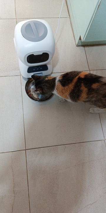 Product review photo
