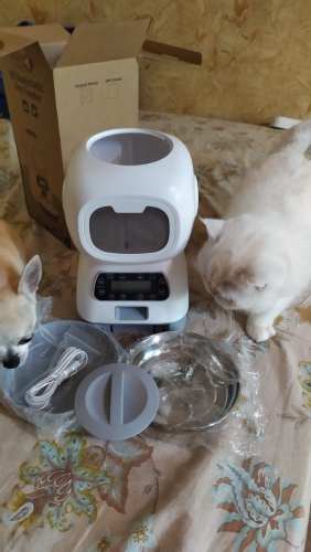 Product review photo