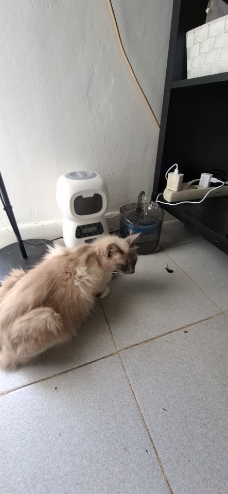 Product review photo
