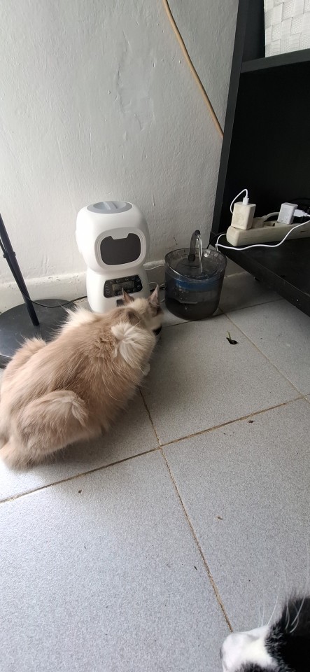Product review photo