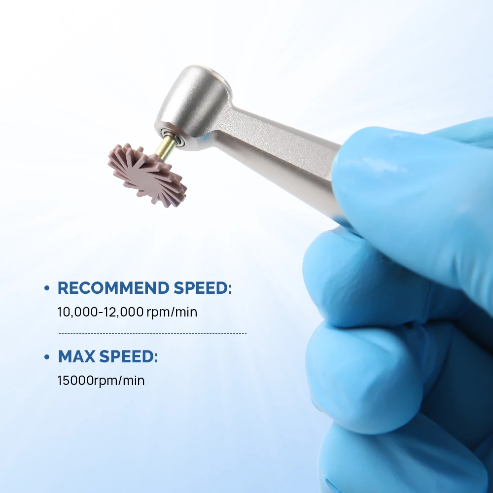 Professional Dental Composite Resin Polishing Disc Wheel Kit - 6 Pieces Silicone Diamond Disc Brush Burs - 2 Step Polishing Process for Smooth & Glossy Finish - Durable & Long-lasting - Easy to Use for Dental Practitioners & DIY - Versatile Application for Clinics & Laboratories