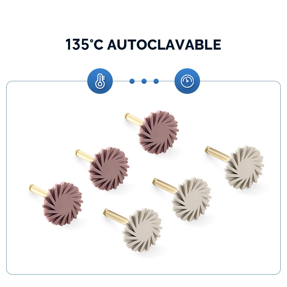 Professional Dental Composite Resin Polishing Disc Wheel Kit - 6 Pieces Silicone Diamond Disc Brush Burs - 2 Step Polishing Process for Smooth & Glossy Finish - Durable & Long-lasting - Easy to Use for Dental Practitioners & DIY - Versatile Application for Clinics & Laboratories