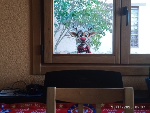 Product review photo