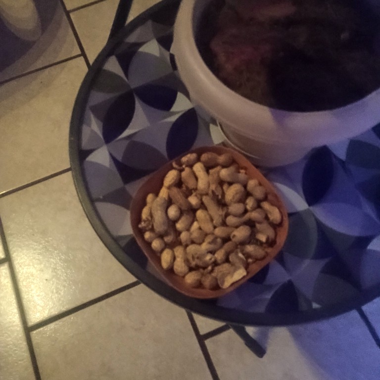 Product review photo