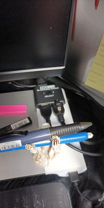Product review photo