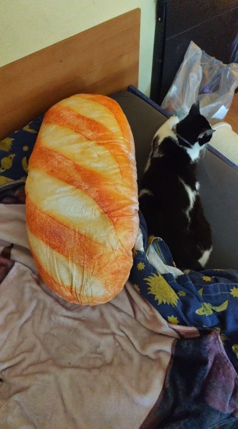 Product review photo