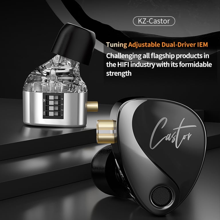 KZ Castor HiFi Earphone with 2 Dynamic Balanced Armature Drivers, Professional Monitoring, Active Noise Cancelling, Ergonomic Design, and Durable Construction for Exceptional Sound Quality and Immersive Listening Experience in Noisy Environments
