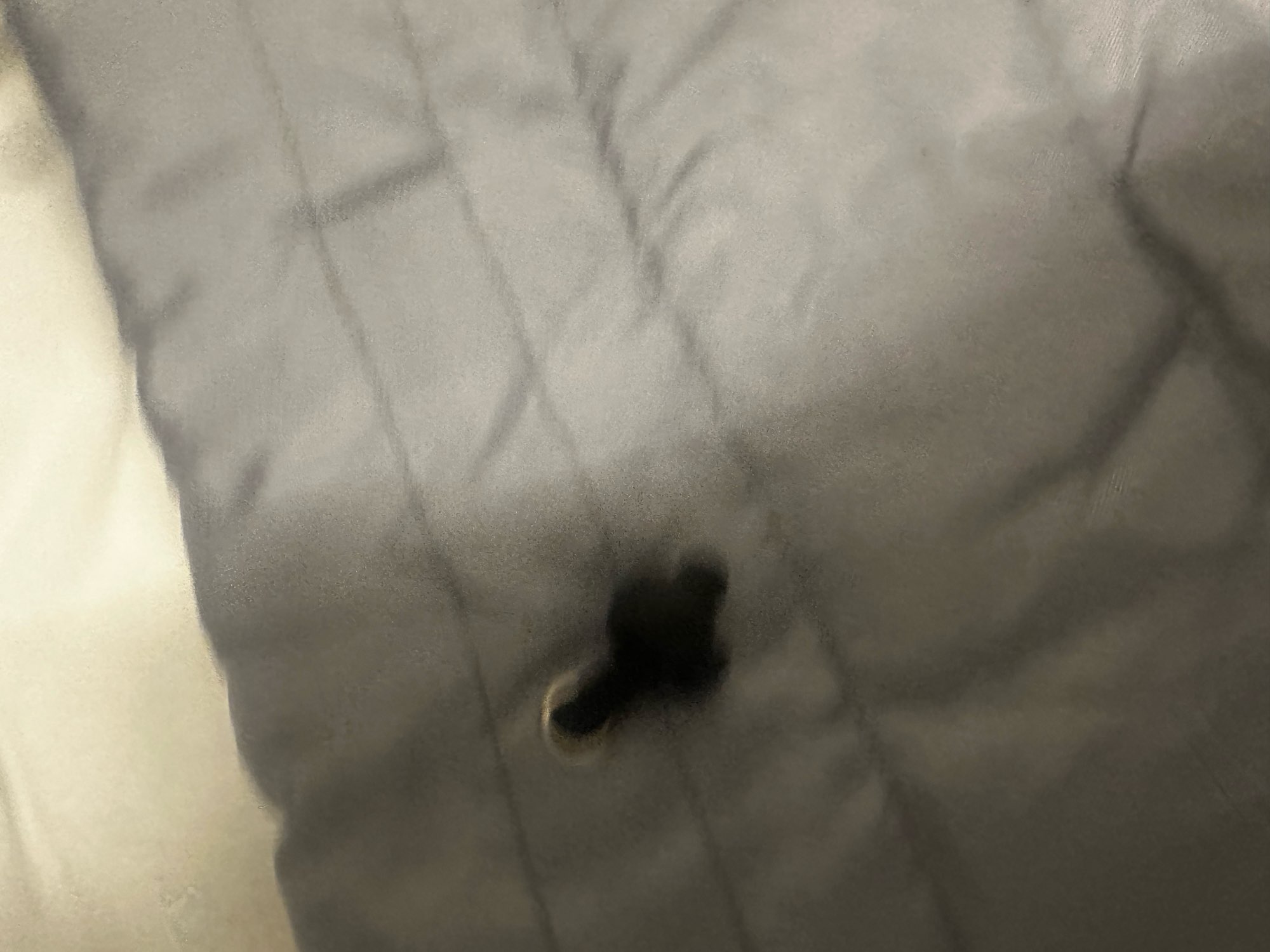 Product review photo