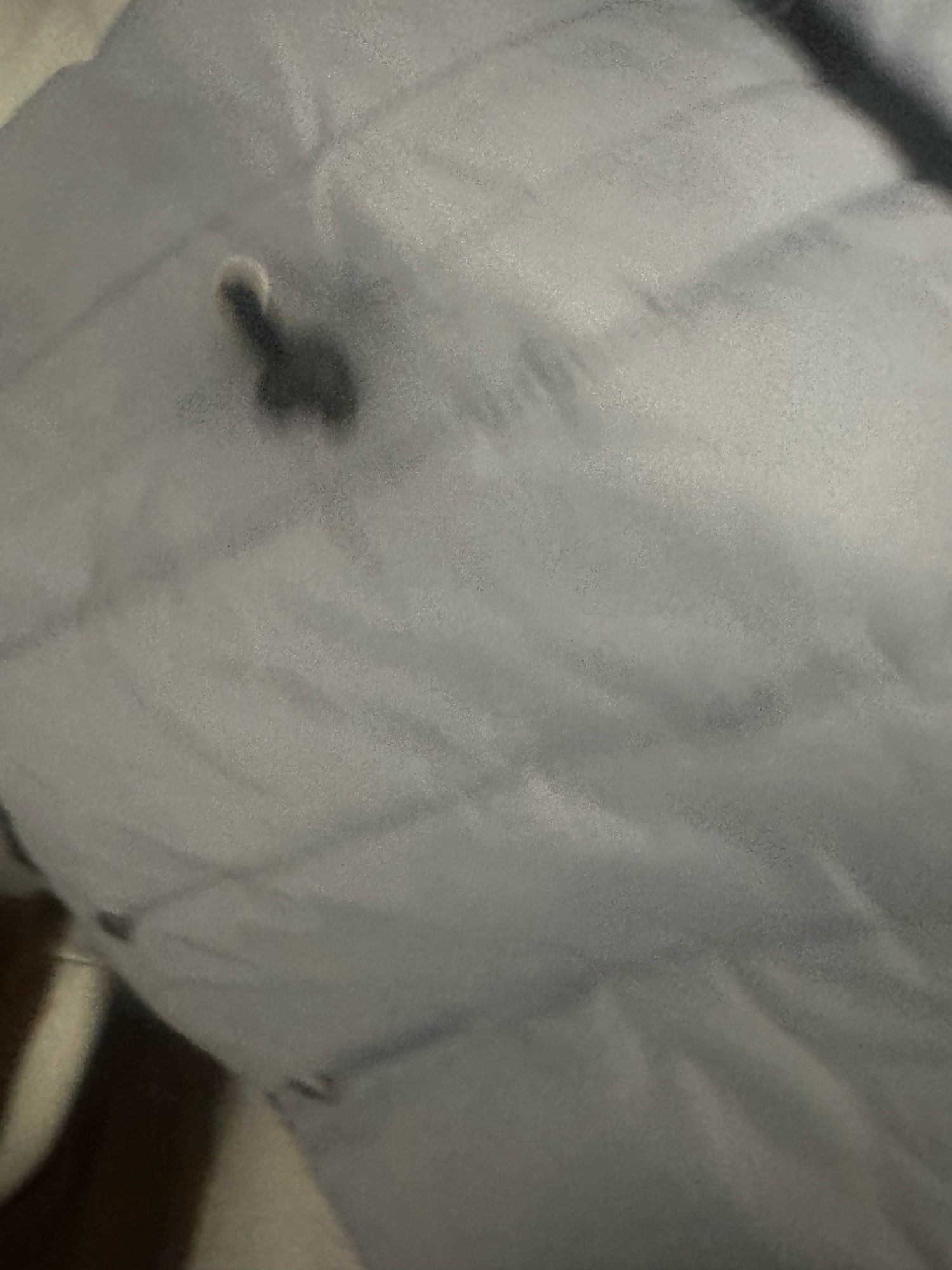 Product review photo