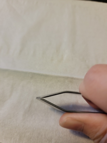 Product review photo