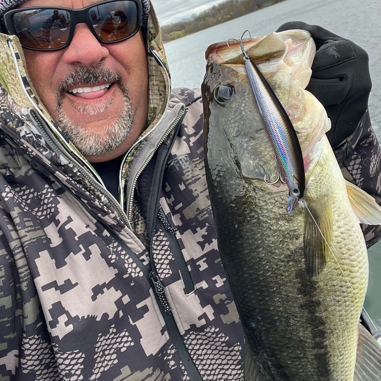 GOBAI Premium Minnow Crank Bait Fishing Lure Set - Realistic Design, 13g, 11.4cm, Magnet Weight Suspension System, Hot Model Design - 2pcs Value Pack for Bass, Trout, Walleye, Pike - Expertly Crafted for Durability, Longevity, and Optimal Fishing Performance in Freshwater and Saltwater