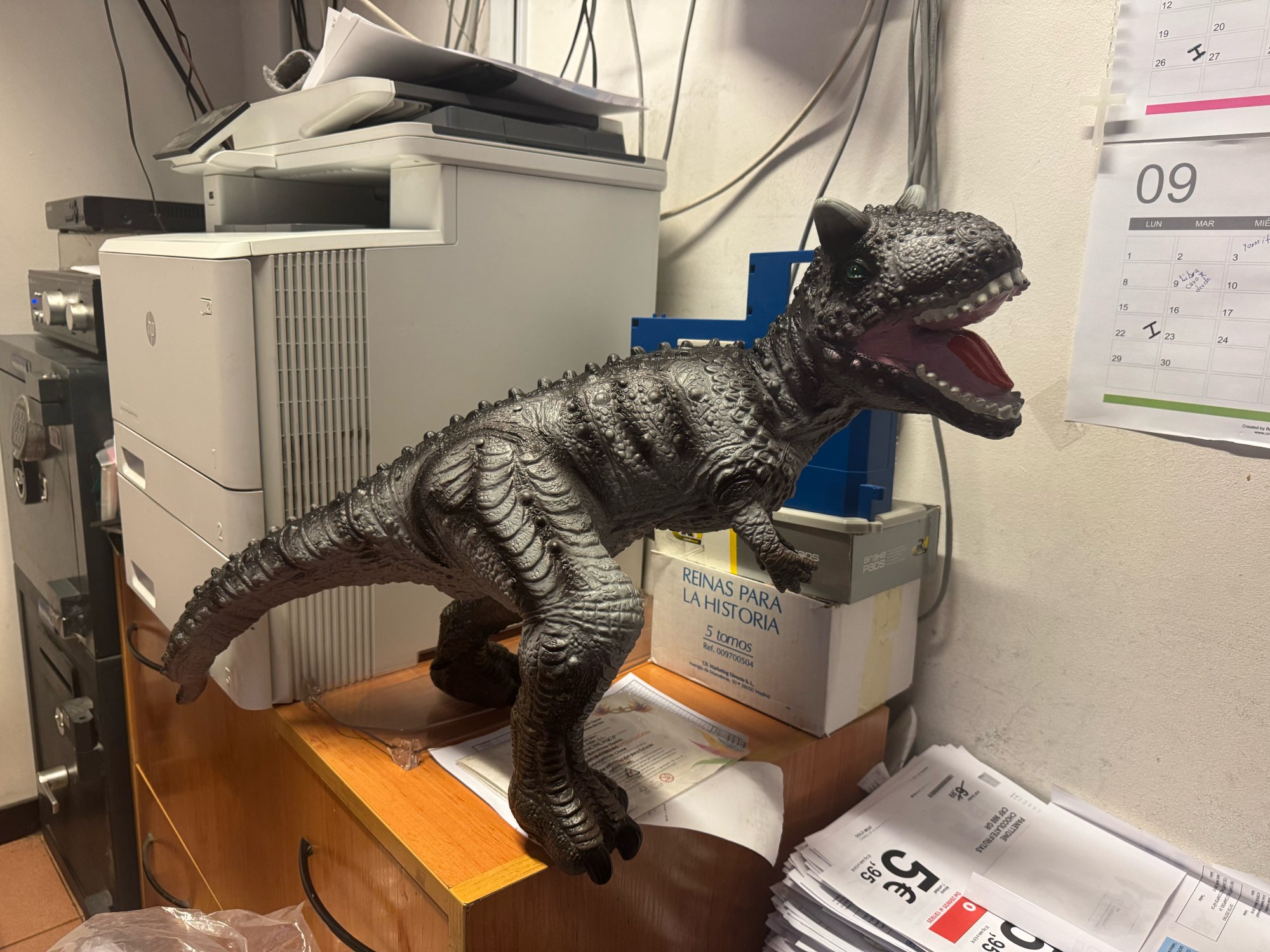 Product review photo