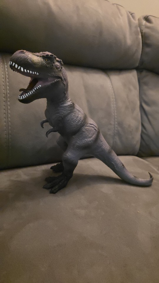 Product review photo