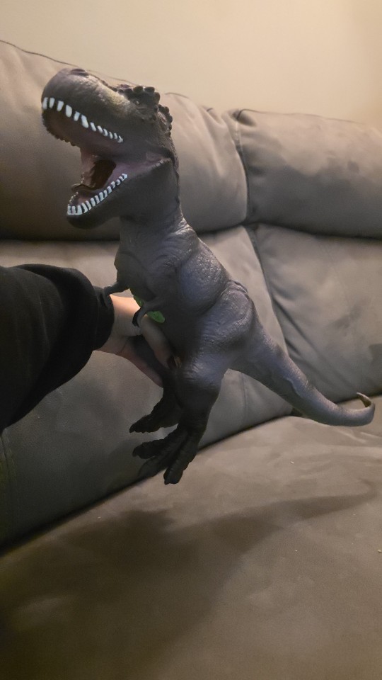 Product review photo
