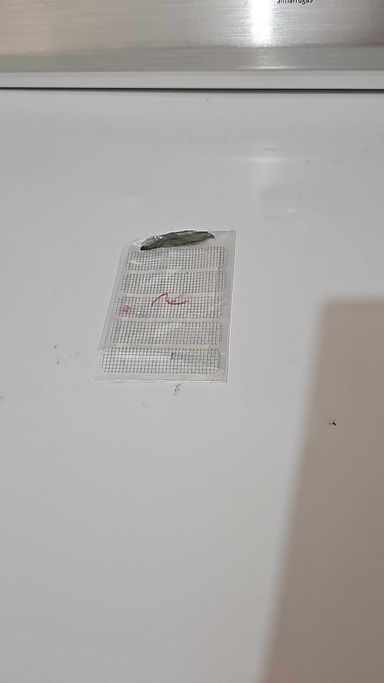 Product review photo
