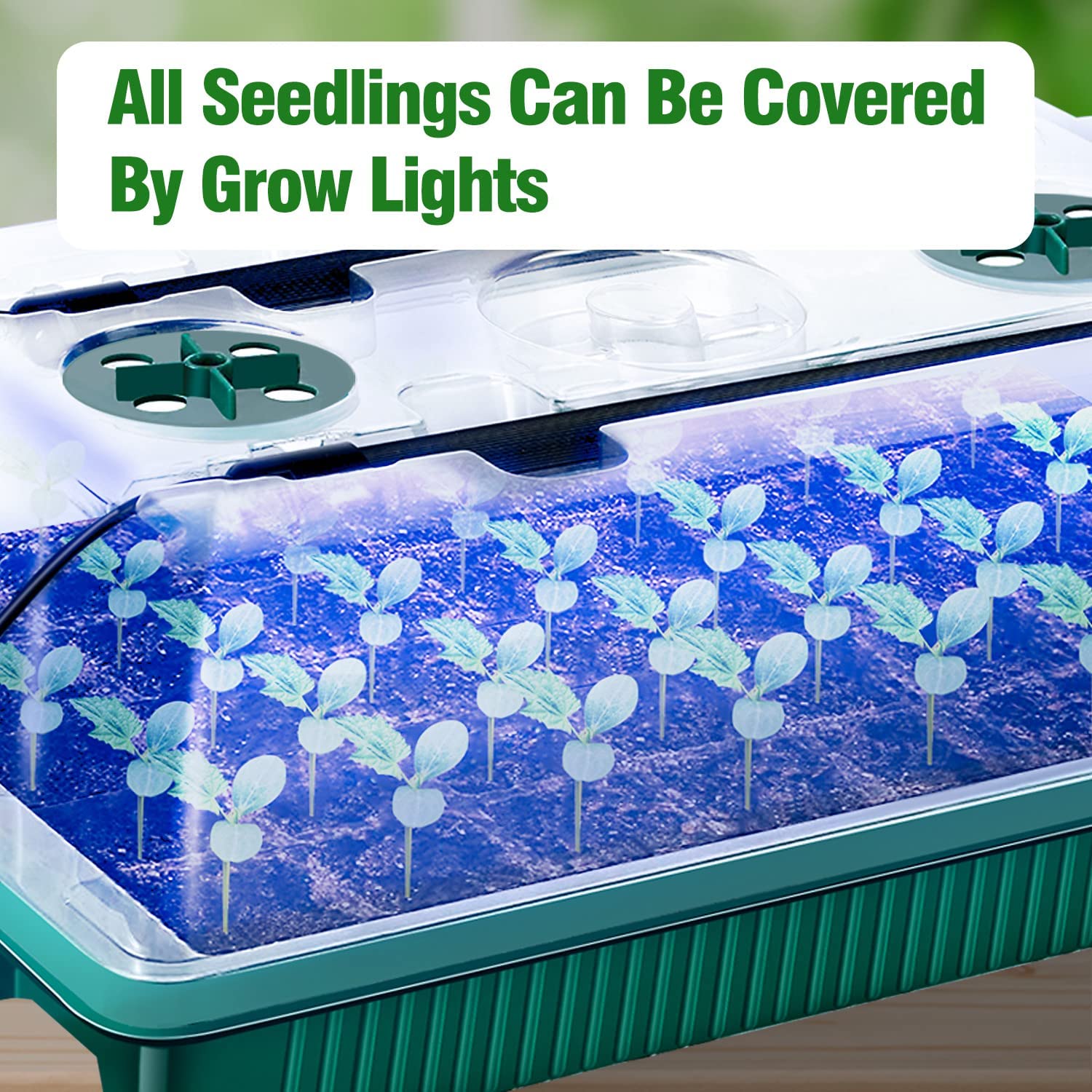 High-Quality Seed Starter Trays with High Dome Germination Kit, 4 LED Grow Lights, and Smart Timer Functionality - Ideal for Home Gardening with 3 Modes for Efficient Growth and Strong Root Development