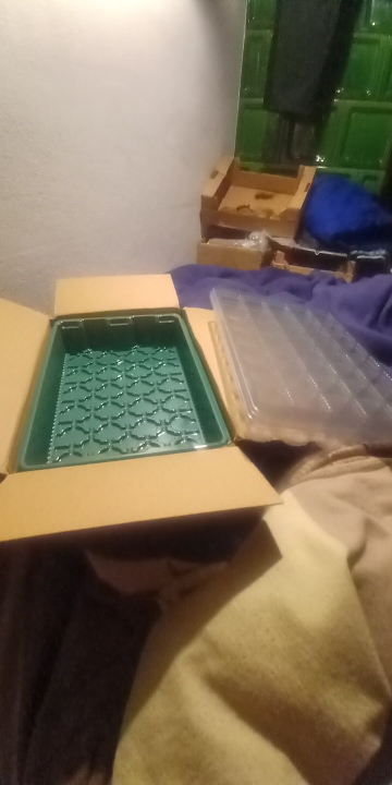 Product review photo