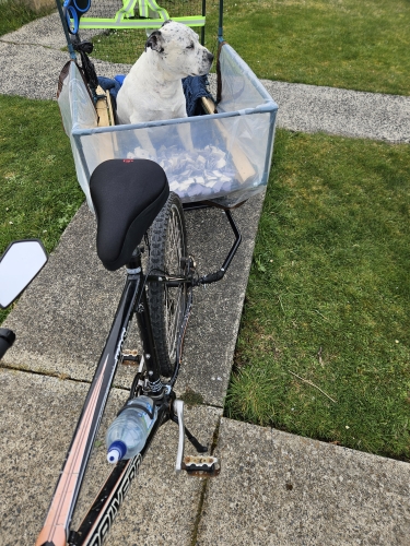 Product review photo